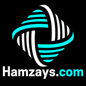 Hamzays.com (12)