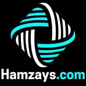 Hamzays.com (6)